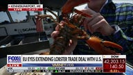 EU, US consider free trade deal for American lobsters
