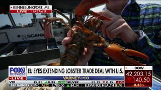 EU, US consider free trade deal for American lobsters