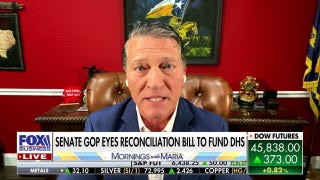 Republicans reject Senate deal over ICE funding, deepening DHS crisis