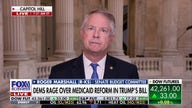 Medicaid is a trillion-dollar business, GOP lawmaker says