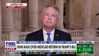 Medicaid is a trillion-dollar business, GOP lawmaker says