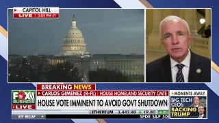 GOP rep says Democrats will be needed to pass latest House spending bill - Fox Business Video