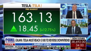 Tesla’s rise is just a dead cat bounce: Shah Gilani - Fox Business Video