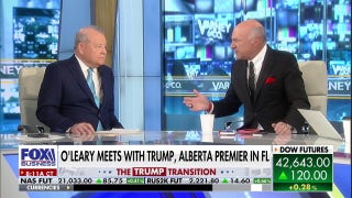 Kevin O'Leary: We've got a 'real bid' and a sale is TikTok's 'only option' - Fox Business Video