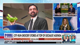 Government-run grocery store plans face heavy backlash