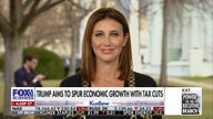 DOGE is cracking down on 'acronym mayhem' in DC: Alina Habba
