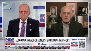 Status of economy is going to decide the midterms, Victor Davis Hanson predicts