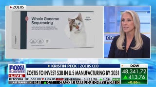 Zoetis has a 'robust portfolio' for growth ahead, says CEO