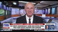 There will be no rate cuts from the Fed this year: Kevin O'Leary