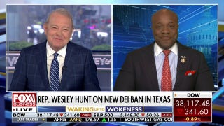 Only thing DEI has done is 'indoctrinate our children': Rep. Wesley Hunt - Fox Business Video