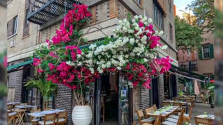 Outdoor dining boosts flower decor demand as COVID-hit restaurants look to attract customers - Fox Business Video