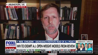 AI policy expert argues current tech framework is ‘not transparent’ - Fox Business Video
