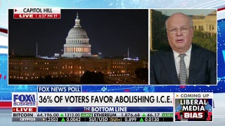 Nominating someone on the far left won't help Democrats: Karl Rove - Fox Business Video