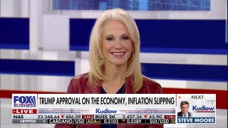 Kellyanne Conway: Trump was elected to fix a lot of the nonsense