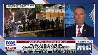 Democrats criticized for website revealing ICE agents' locations