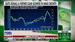 US job quits rate indicates employees are losing bargaining power: Kelsey Berro  - Fox Business Video