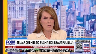 Dagen McDowell calls out GOP lawmakers who live in Democratic blue states