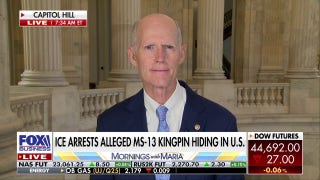 GOP senator rips Dems backing sanctuary policies: 'They have lost their minds!'