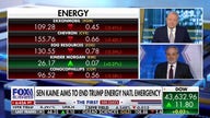 Ex-Trump official slams Dem's push to end energy emergency: 'Sounds like sheer silliness