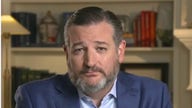 Ted Cruz: Biden's immigration plan a 'craven' political decision to win votes