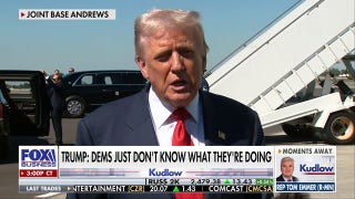 Trump says Dems 'just don't know what they're doing,' have become 'crazed lunatics'