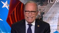 Larry Kudlow: Trump admin. supporting our merit-based immigration plan, not other GOP plans