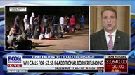 Biden's 'sanitized' view of wide-open border won't change anything: Rep. Pat Fallon