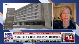 We need to start spending less and ‘streamline’ government, GOP lawmaker argues - Fox Business Video