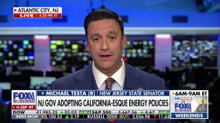 We need affordable and reliable energy, says New Jersey state senator