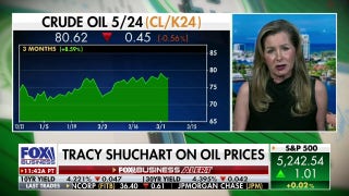 Commodities are still in a bull market despite pullback: Tracy Shuchart - Fox Business Video