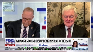 Newt Gingrich: Iran War will be ‘American defeat’ if Strait of Hormuz is kept closed