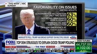 Trump favorability jumps as Democrat 'resistance' dies, pollster says