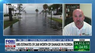 US insurers brace for billions in Hurricane Idalia claims - Fox Business Video