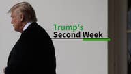 Trump's had a busy second week, here are the highlights
