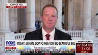 GOP senator says there's an 'appetite for more spending reductions' on 'big beautiful bill'
