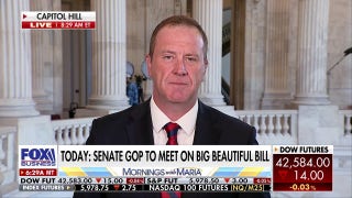 GOP senator says there's an 'appetite for more spending reductions' on 'big beautiful bill'