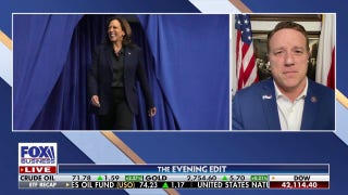 GOP rep predicts Kamala Harris will ‘get fired’ over border crisis - Fox Business Video