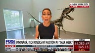 Multi-million-dollar dinosaur, meteorite fossils for sale at NYC ‘Geek Week’