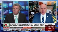 Biden admin presided over 'the worst border crisis we've ever seen': Ex-acting ICE director