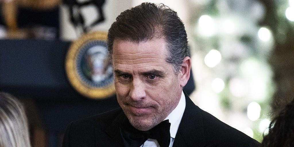 Hunter Biden investigations loom over Biden s re election bid Bill Hemmer