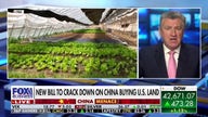 'Tell China no!': New bill aims to crack down on China buying US land