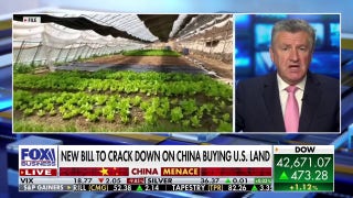 'Tell China no!': New bill aims to crack down on China buying US land