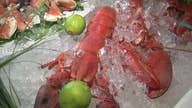 US exports of lobster to China plummet in 2019