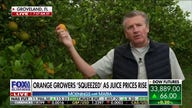 FL orange growers squeezed by high prices, struggle to keep juice on tables