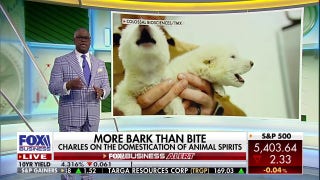 Charles Payne: 'Animal spirits' assumptions might have been wrong - Fox Business Video
