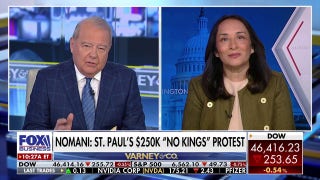 Investigation uncovers $250k spent on 'sophisticated' No Kings protest in St. Paul