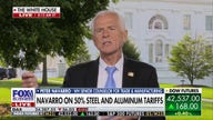 Peter Navarro says Elon Musk shouldn't treat the 'big, beautiful bill' like a 'sacrificial lamb'