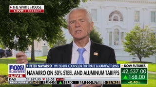 Peter Navarro says Elon Musk shouldn't treat the 'big, beautiful bill' like a 'sacrificial lamb'