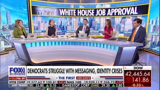 Democrats need a 'reality check': 'Do better next time,' panel says