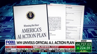 White House unveils action plan on AI